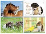 Kleinkärtchenserie Tiere, 12 Stück Kleinkärtchenserie Tiere, 12 Stück