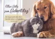 Faltkarte - Alles Gute zum Geburtstag! Faltkarte - Alles Gute zum Geburtstag!