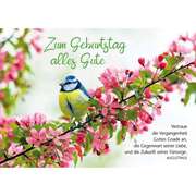 Augustinus - Postkarten: Zum Geburtstag alles Gute, 4 Stück Postkarten: Zum Geburtstag alles Gute, 4 Stück
