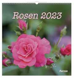 Rosen 2023 - Wandkalender