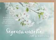Faltkarte "Segenswünsche zum Geburtstag" - Blüten Faltkarte "Segenswünsche zum Geburtstag" - Blüten