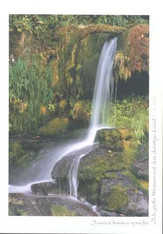 Postkarte "Wasserfall grün" - 5 Stück