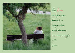 Postkarte "Die Liebe ist für uns deshalb so..." - 5 Stück