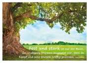 K. Coppieters - Fest und stark ist nur ein Baum... - Postkarte Fest und stark ist nur ein Baum... - Postkarte