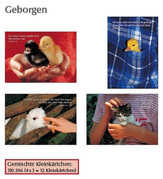Kleinkärtchenserie Geborgen, 12 Stück Kleinkärtchenserie Geborgen, 12 Stück