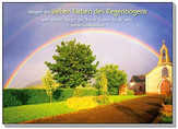 Postkarten: Mögen die sieben Farben des Regenbogens, 12 Stück