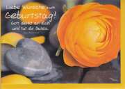 Liebe Wünsche zum Geburtstag - Faltkarte Liebe Wünsche zum Geburtstag - Faltkarte