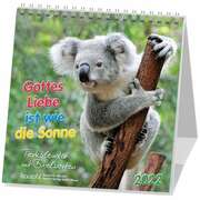 Gottes Liebe ist wie die Sonne 2021 Gottes Liebe ist wie die Sonne 2021