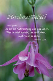 Faltkarte "Herzliches Beileid - Jesus spricht: Ich bin die Auferstehung..." - 5 Faltkarte "Herzliches Beileid - Jesus spricht: Ich bin die Auferstehung..." - 5
