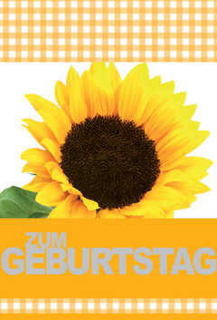Faltkarte "Zum Geburtstag" Sonnenblume - 5 Stück