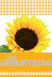 Faltkarte "Zum Geburtstag" Sonnenblume - 5 Stück Faltkarte "Zum Geburtstag" Sonnenblume - 5 Stück