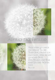 Faltkarte "Aufrichtiges Beileid - Auch wenn ich ..." - 5 Stück Faltkarte "Aufrichtiges Beileid - Auch wenn ich ..." - 5 Stück