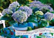 Postkarten: Glück und Segen zum Geburstag, 12 Stück Postkarten: Glück und Segen zum Geburstag, 12 Stück