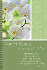 Faltkarte "Gottes Segen sei mit Dir" - 5 Stück Faltkarte "Gottes Segen sei mit Dir" - 5 Stück
