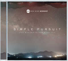 Simple Pursuit (Live)