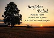 Herzliches Beileid - Faltkarte Herzliches Beileid - Faltkarte